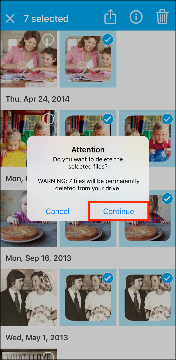 View Files 1 > Files Selected > Delete Prompt 01 > Continue.PNG