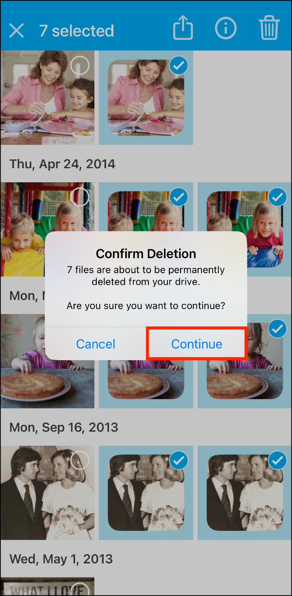 View Files 1 > Files Selected > Delete Prompt 02 > Continue.PNG