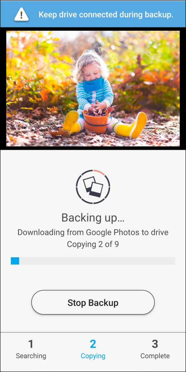 Google Photos Backup > 01 In Progress.jpg