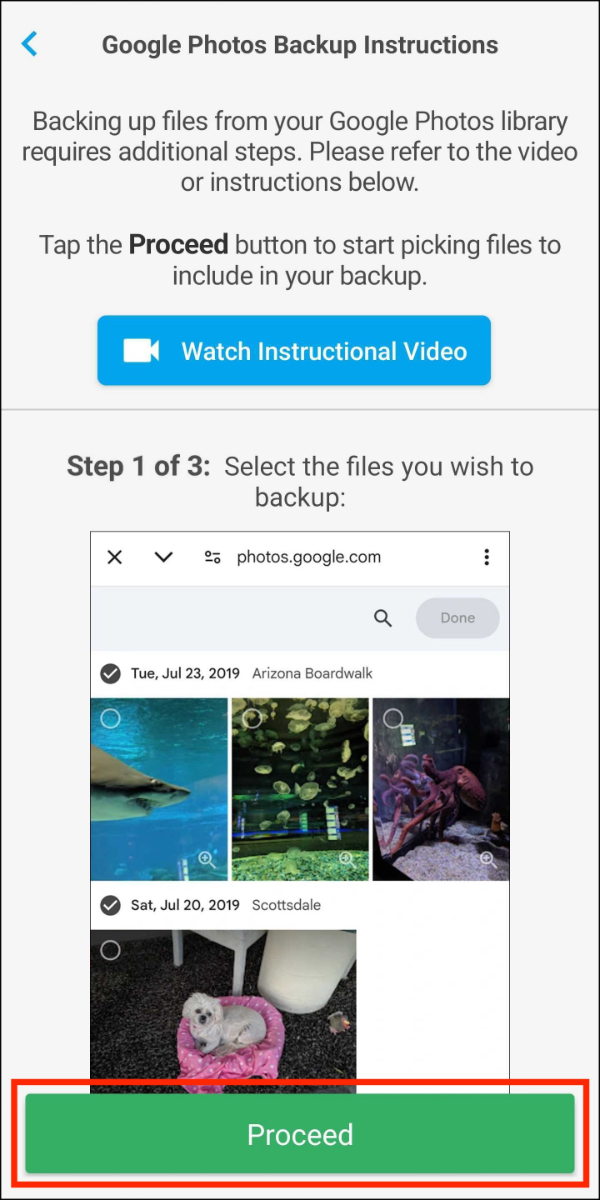 Google Photos > 01 Setup Instructions > Proceed.jpg