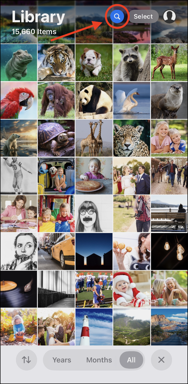 Photos > Search.PNG