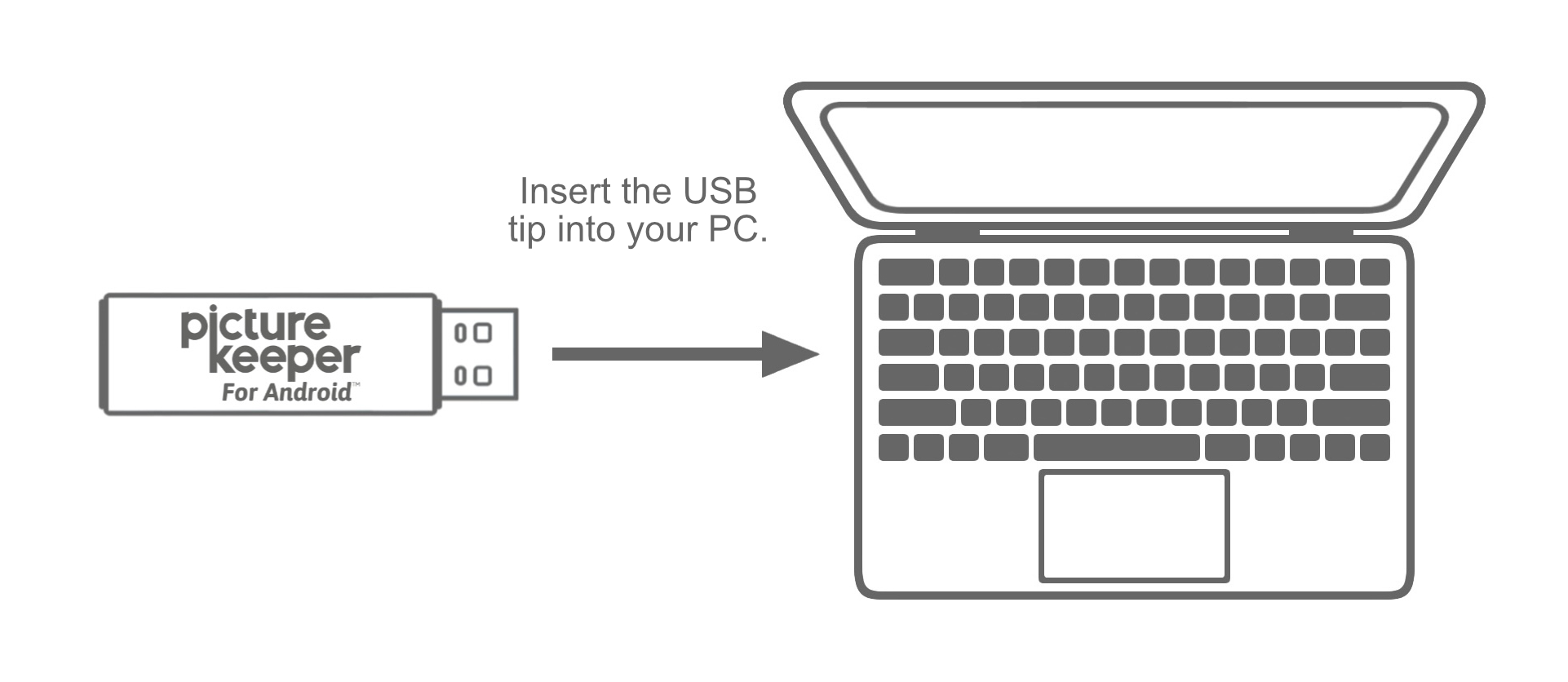 PKfA > Windows.jpg