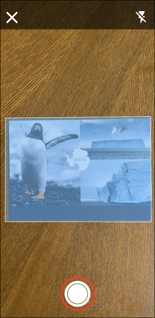 Photo Scanner > 01 Detect Image > Capture Image.PNG