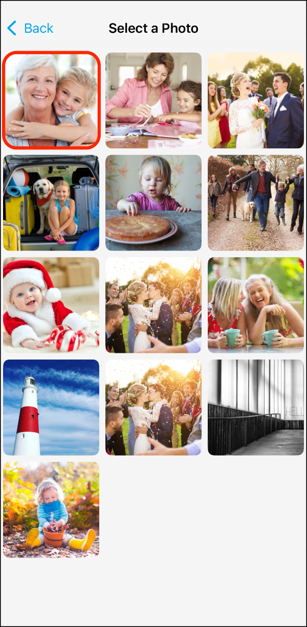 Holiday Card Maker Editor 02 Outlined.PNG