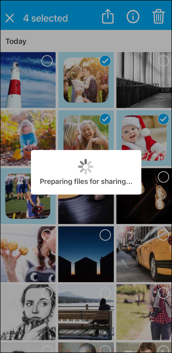 View Files 2 > Share > Preparing.PNG