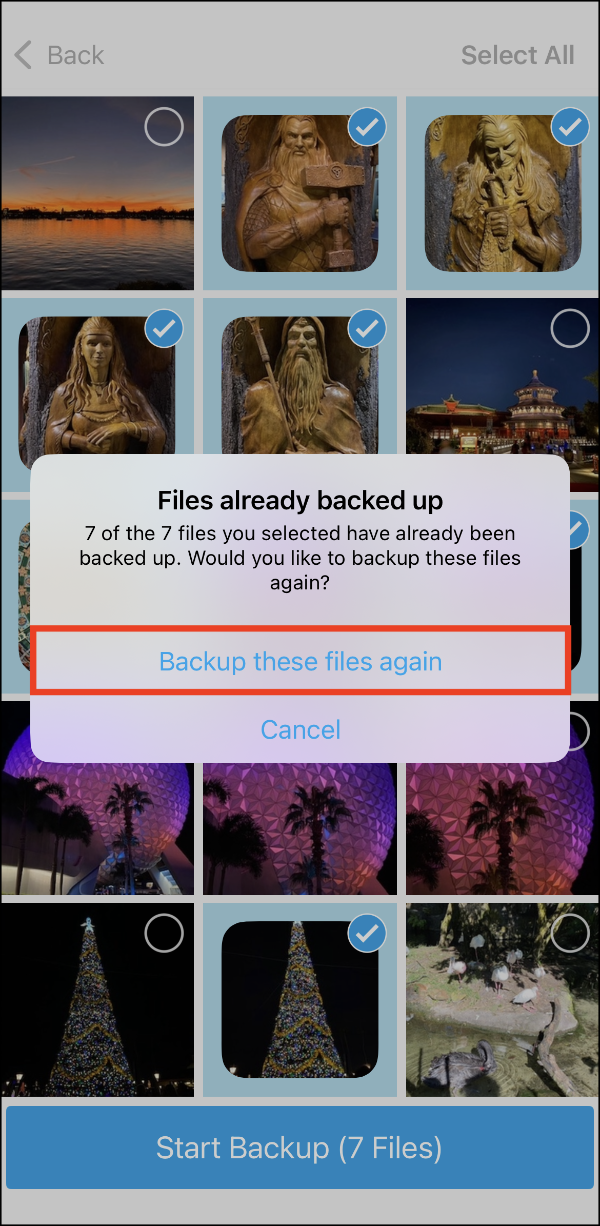 Select Files for Backup > 05 'Files already backed up' Prompt > Back these files up again.PNG