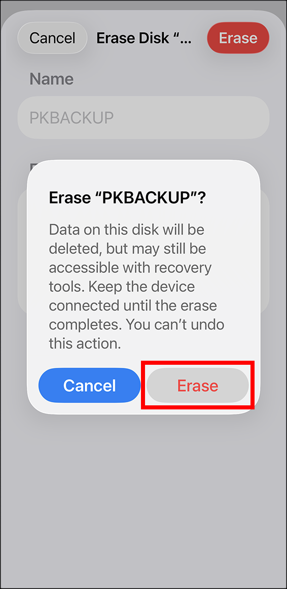 PK confirm erase.png
