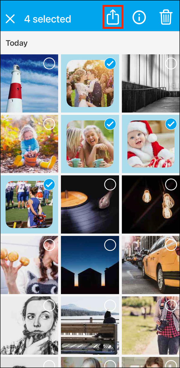 PK Drive > Files Selected > Share