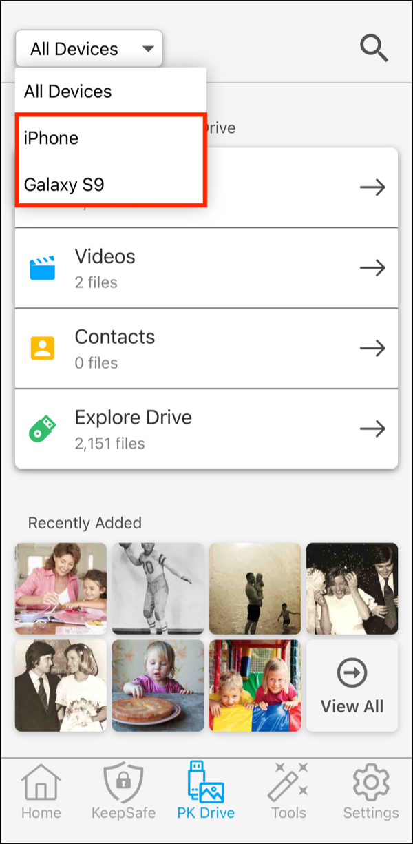 PK Drive > Devices Menu > Individual Devices.png