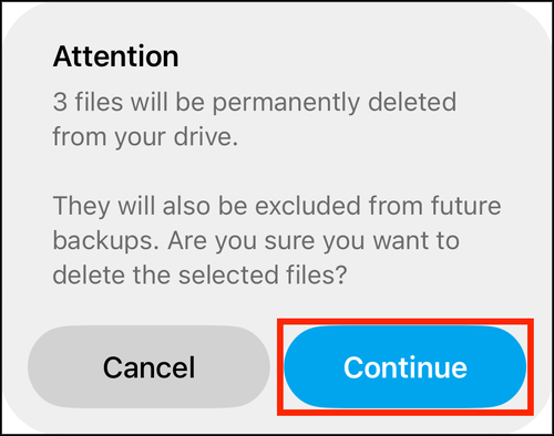 The first delete prompt, Attention, with Continue highlighted