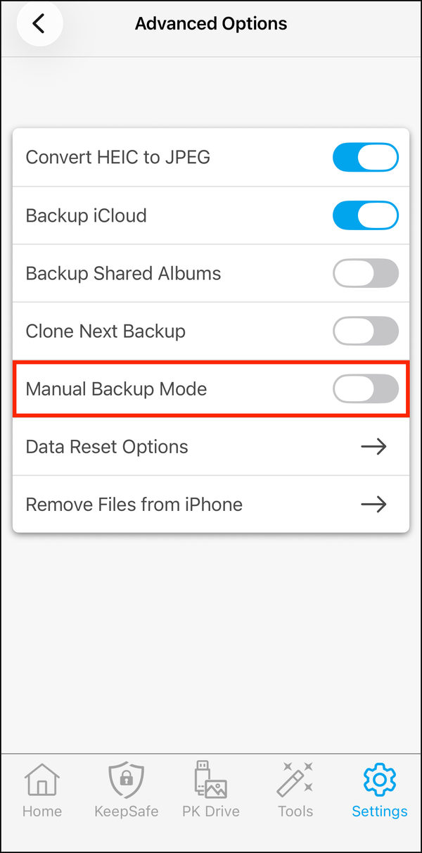 Advanced Options with Manual Backup Mode highlighted