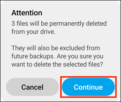 The first delete prompt, Attention, with Continue highlighted