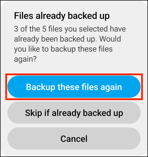 Files already backed up alert with Backup these files again highlighted