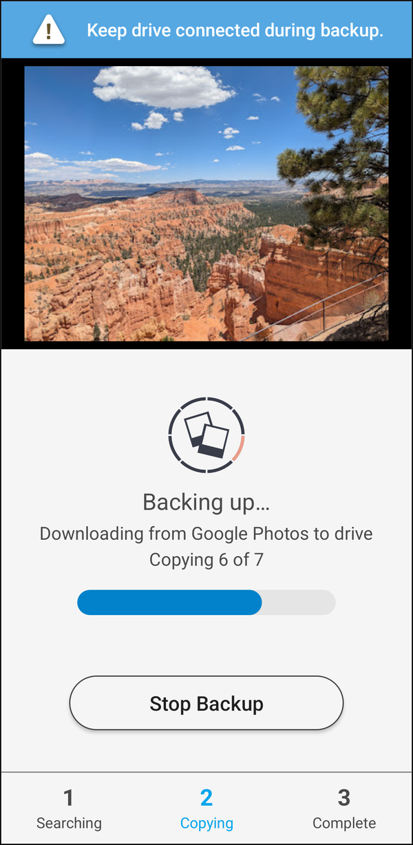 Backing up, downloading from Google Photos to the drive