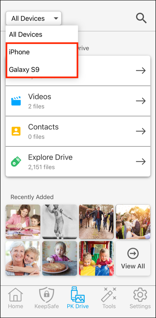 PK Drive > Devices Menu > Individual Devices.png
